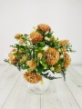 IMG_20240719_093311_1.jpg