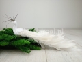 df4a893ba538a30414a5bb4931ab2000