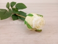 9ab4468c7f8a540ca209bd047df43c7d