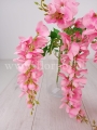 wisteria 4782.jpg