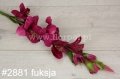 dc28e76e288413d3b18c48b650bf5b14