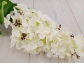 hurtownia florystyczna 7535.jpg