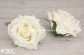 703ed7aea6894c713ef8e817393a4fc3