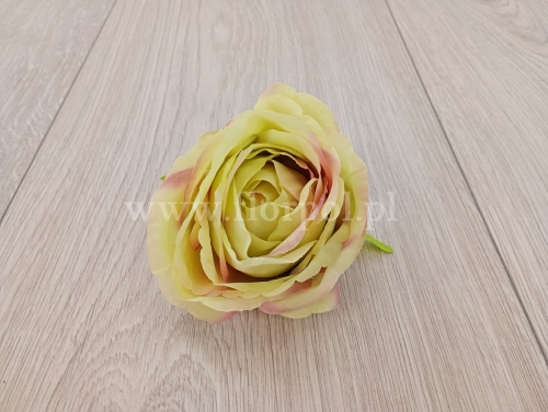 róża cieniowana 12szt pistacja/róż (LQ01)