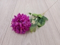52349febf172adc6c972e3856004d84c