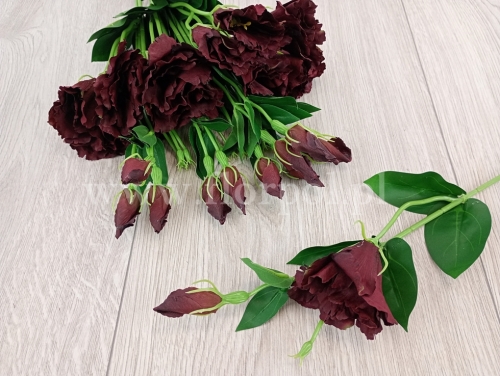 Eustoma gałązka  12szt #3121 dr.wine (SUN357)