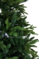 fresh_green_ 3.jpg