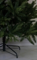 fresh_green_ 5.jpg
