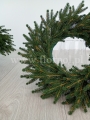 świerk natura 17.jpg