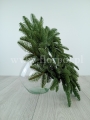 prestige nobilis 9.jpg