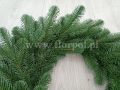 wianek N1830 2.jpg