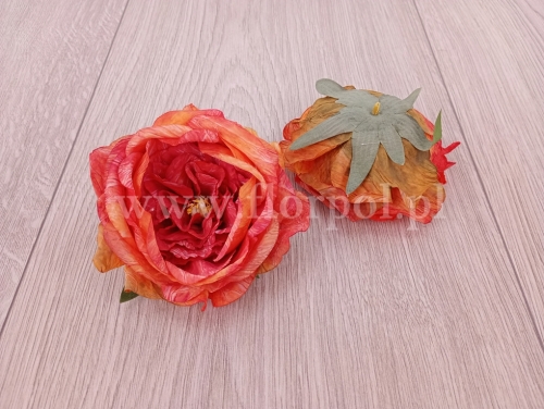 peonia krepiona otwarta 12szt odc.pomarańczu (HD387325)