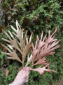 IMG-20251029-WA0001.jpg