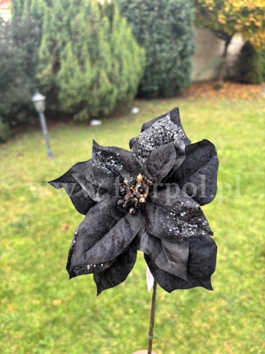 poinsecja welurowa na łodydze 1szt czarny (NCG001)