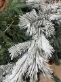 IMG-20251029-WA0007.jpg