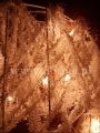 łańcuch 9915.jpg