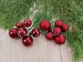 paradowscy_ 10477.jpg