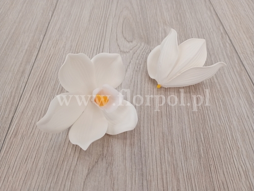 storczyk wyrobowy - pianka 12szt white (LEV017)
