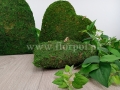 florpol.live 12783.jpg