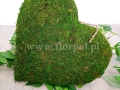 florpol.live 12781.jpg
