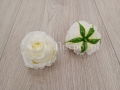 f99be51a9ea4859fb40cdbb1c5f80983