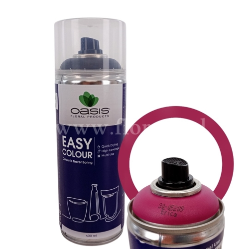 spray kolorowy florystyczny  Erica 12895.jpg