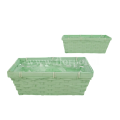 florpol.live  12904.png
