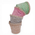 florpol.live 12951.png