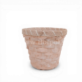 p12973.png