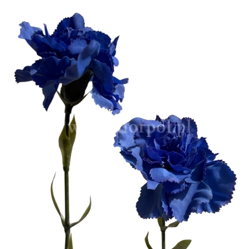 Goździk atłasowy pojedynczy 1szt  #2675B blue violet (SUN005)