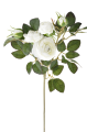 IMG_1009.png