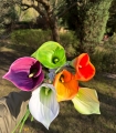 IMG_0950.jpeg