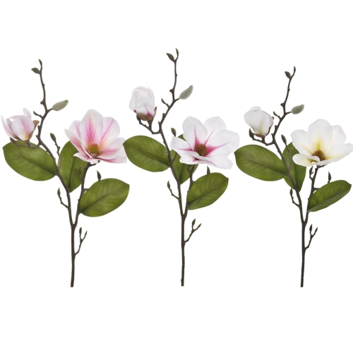 Magnolia gałązka KARTON MIX - 12szt (WEI1047)