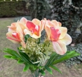 IMG_1823.jpeg