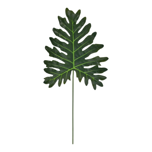 filodendron liść 12szt green (GREE005)  02032026a