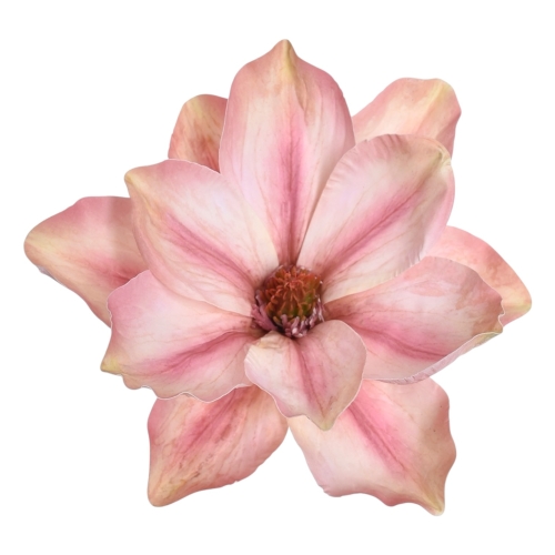 Magnolia wyrobowa 12szt dirty pink (WEI1007)