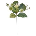 IMG_1952-Photoroom.jpg