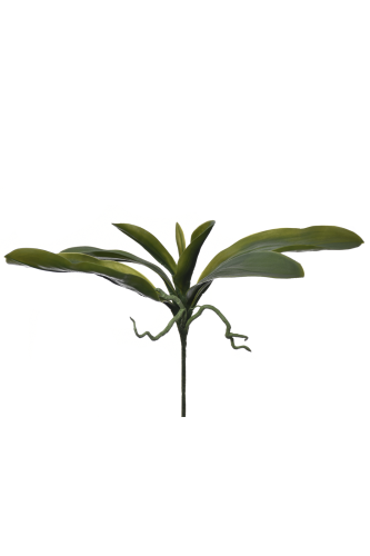 ulistnienie orchidea 1szt zielony (SUN553)