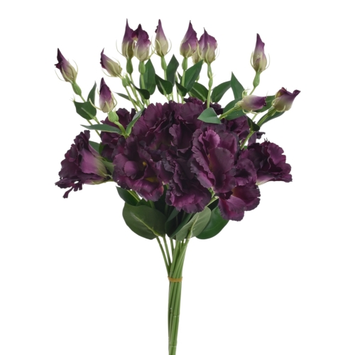 Eustoma gałązka  12szt #3130 eggplant (SUN357)