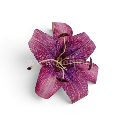 Lilia wyrobowa, ceratka 12szt purpura (KDG226)