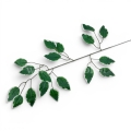 p9577.jpg