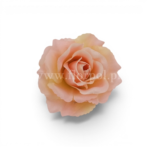 Róża wyrobowa otwarta Sonia 12szt #XYPE238 PEACH