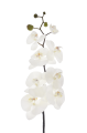 SUN878##WHITE#1_m.jpg