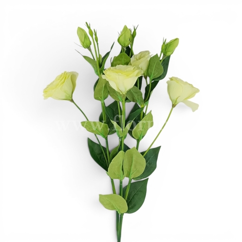 Eustoma gałązka 1szt green (AJ03038)