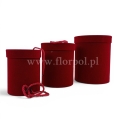 florpol.live-welurowy flower box 13747.jpg
