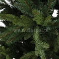 fresh green13766.jpg