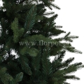 fresh green13768.jpg