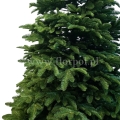 prestige nobilis choinka 13773.jpg
