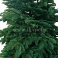 prestige nobilis choinka 13780.jpg