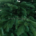 prestige nobilis choinka 13781.jpg